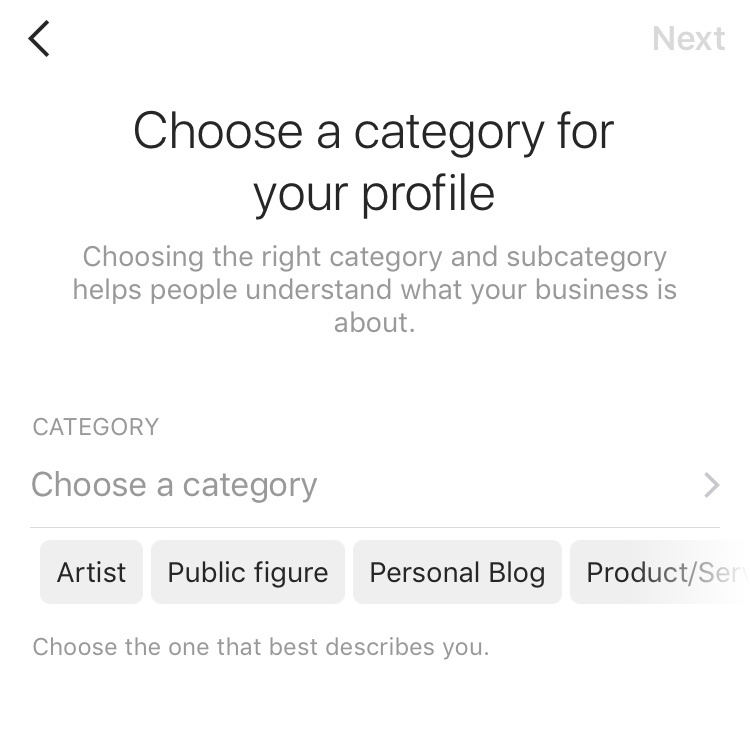Instagram Business Profile Category