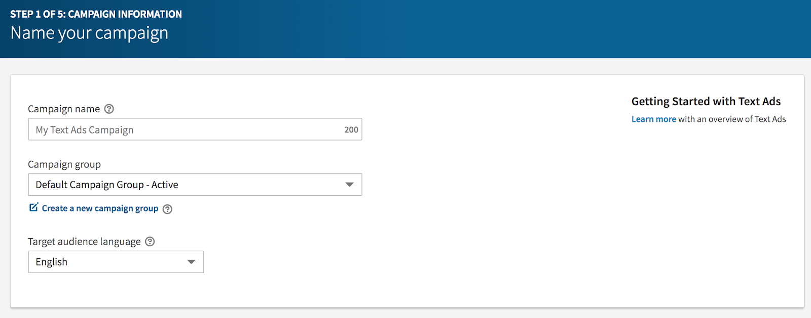 LinkedIn Campaign Name