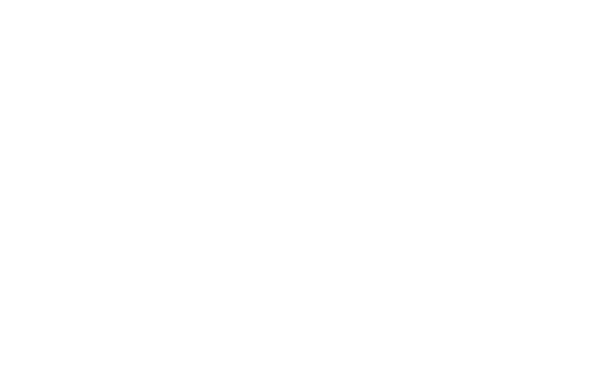 nebsf-logo-white